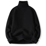 Pologize™ Solid Color Warm Turtleneck Sweater