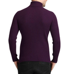 Pologize™ Cashmere Turtleneck Sweater